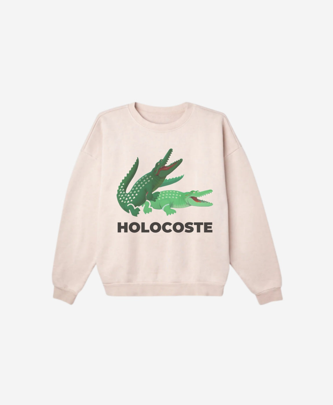 Regular Fit Sweatshirt - Holocoste