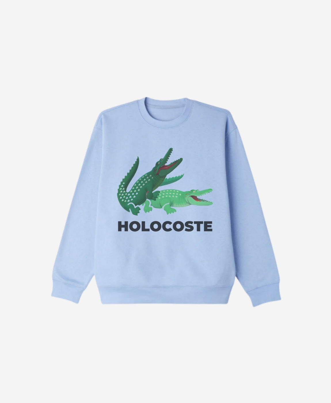 Regular Fit Sweatshirt - Holocoste